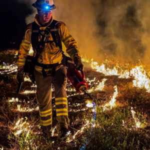 Zrzut ekranu 2025-10-07 185813